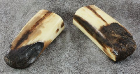 fossil walrus artifact handles (for a Faisal set)-1-A.JPG fossil walrus artifact handles (for a Faisal set)-1-A.JPG